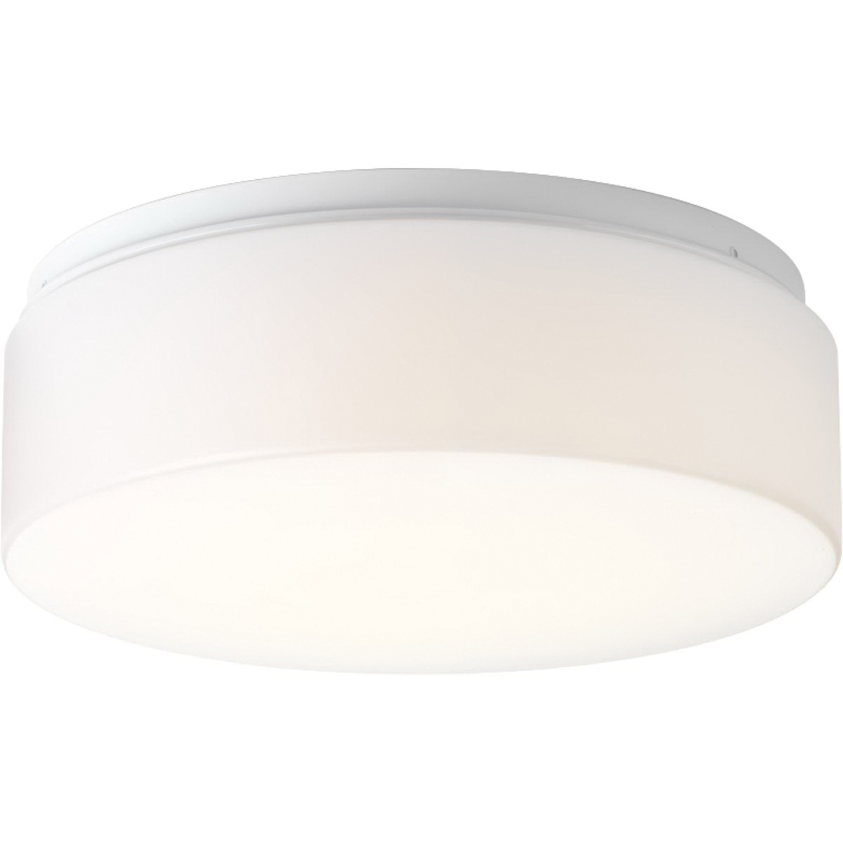 Progress Lighting P730005 030 30 1 Light Led Flush Mount Fixture 030 30 1 Light Led Flush Mount Fixture