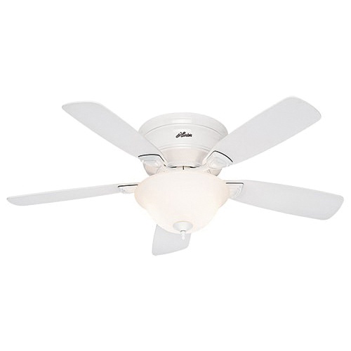 Hunter 52062 Traditional Ceiling Fan With Light 48 Inch 5