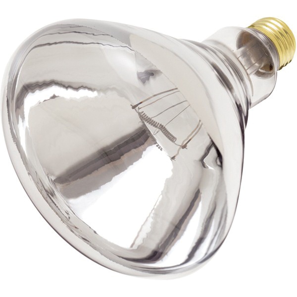 Best Value 250-Watt R40 Heat Lamp, Flood Beam, Clear, Dimmable - For Bathroom Or Pet Use