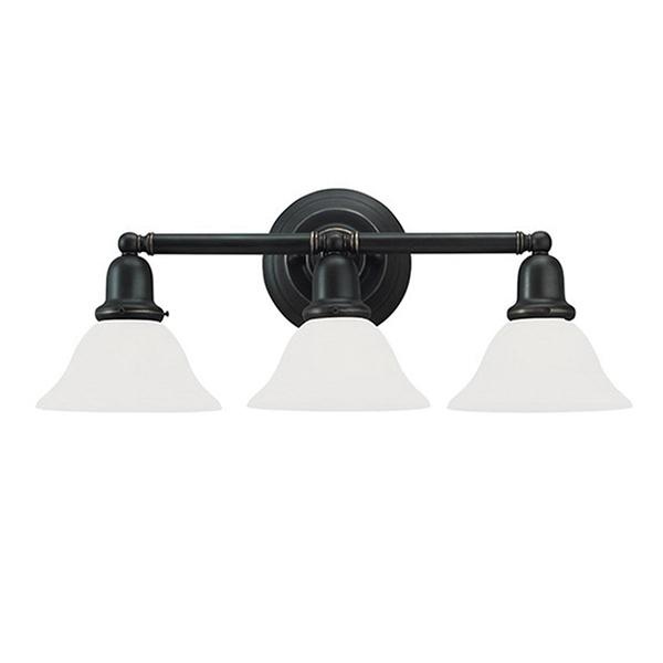 Sea Gull Lighting 44062 782 3 Light Transitional Bath Fixture 100 Watt 120 Volt Heirloom Bronze Sus Sea Gull Lighting 44062 782 3 Light Transitional Bath Fixture 100 Watt 120 Volt Heirloom Bronze Sus