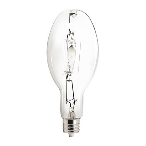 Ed37 bulb store