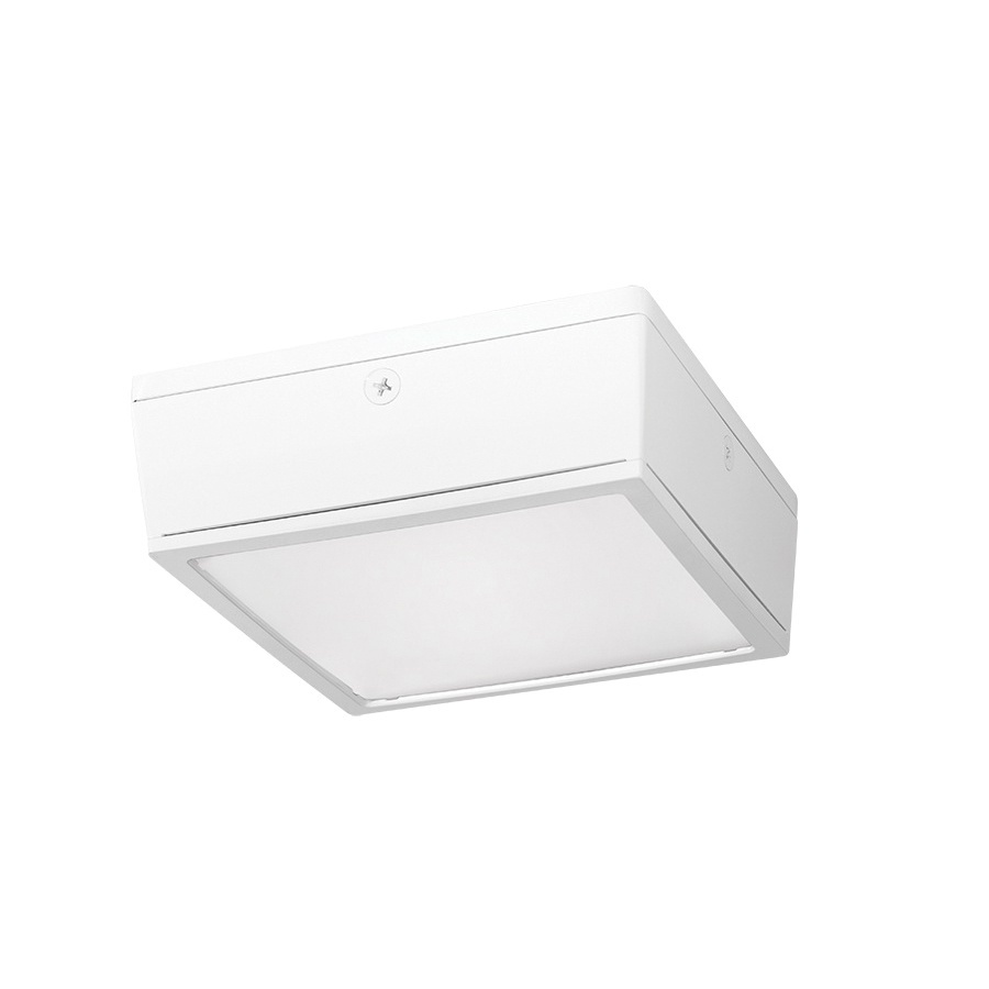 Rab Vanled40fw Cool White Led Vandal Resistant Canopy Light Fixture Rab Vanled40fw Cool White Led Vandal Resistant Canopy Light Fixture 40 Watt 120 208 240 277