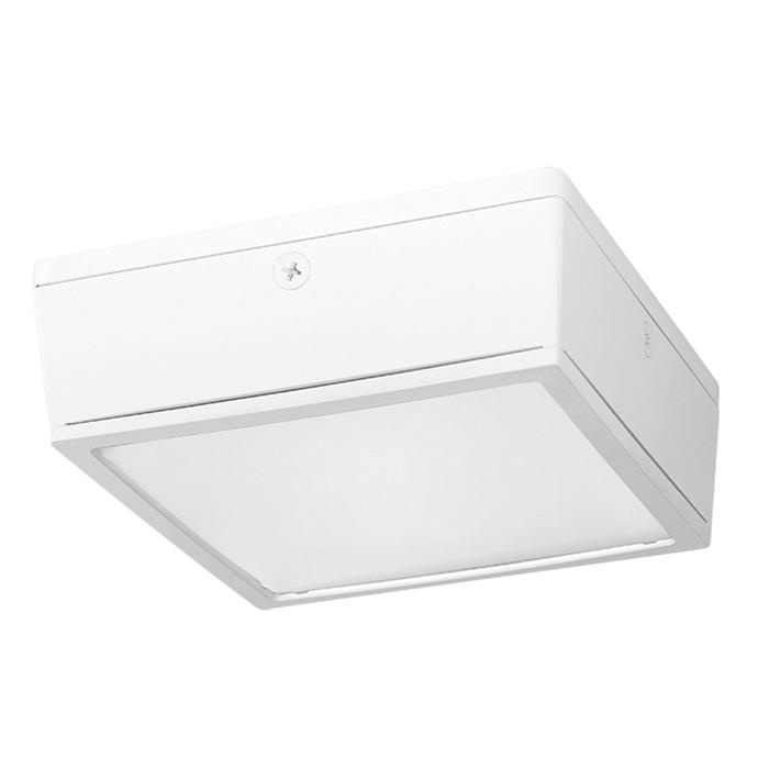 Rab Vanled10fw Ceiling Mount Vandal Resistant Led Canopy Light Rab Vanled10fw Ceiling Mount Vandal Resistant Led Canopy Light Fixture 10 Watt 120 208