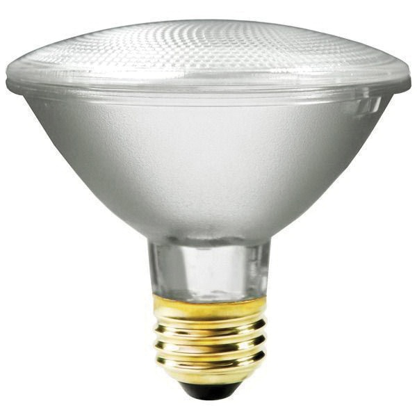 Fanlight Corporation 3501 PAR30 Short Neck Halogen Lamp 38-Watt E26 ...