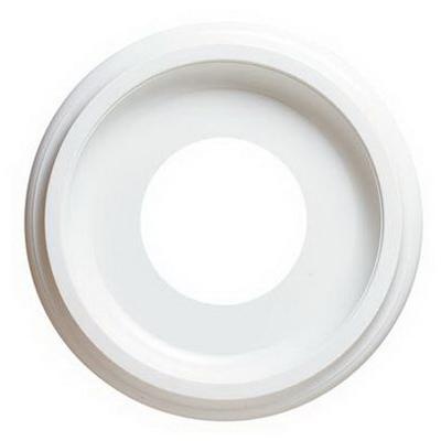 Westinghouse Lighting 7703700 Ceiling Medallion 10 Inch