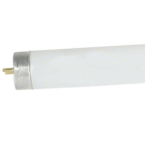 Halco Lighting F34cw Es Eco T12 Linear Fluorescent Lamp 34 Halco Lighting F34cw Es Eco T12 Linear Fluorescent Lamp 34