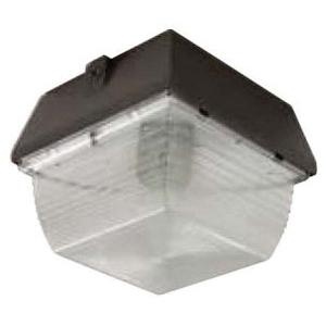 Hubbell Lighting S12 150p 1 Light Ceiling Canopy Lighting